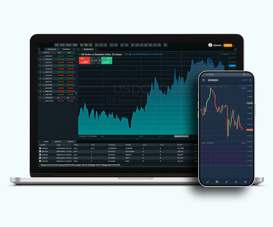 forex crm